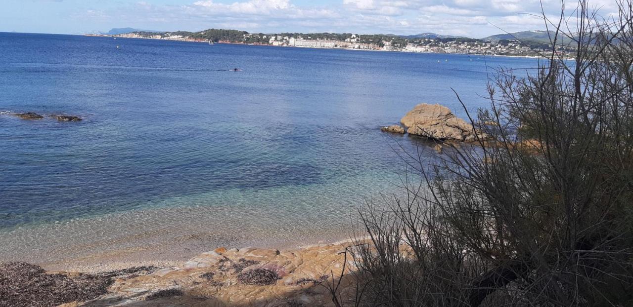 Suite & Spa Just Dream 28 Six-Fours-les-Plages Esterno foto